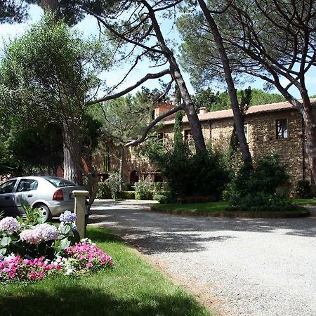 Villa Bolgherello มารินา ดิ บิบโบนา ภายนอก รูปภาพ